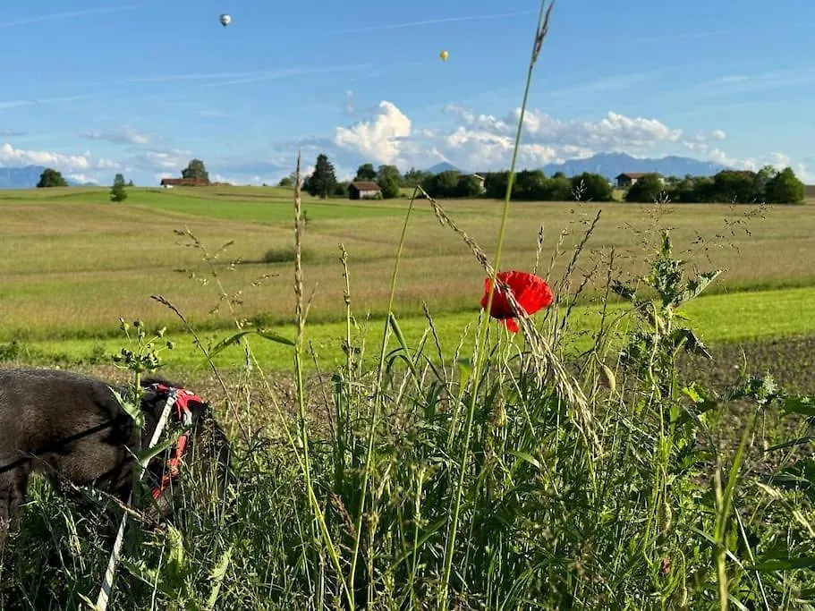Apartment Chalet Am See #Beach#Berge#Bike Seeon-Seebruck